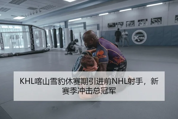 KHL喀山雪豹休赛期引进前NHL射手，新赛季冲击总冠军
